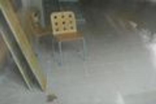 #4613 Negozio grezzo piano terra e posto auto in vendita - foto 6