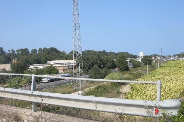 #4734 Terreno edificabile di 42.350 mq in vendita - foto 3