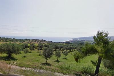 Agricoli in vendita
