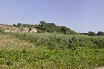 Agricoli in vendita