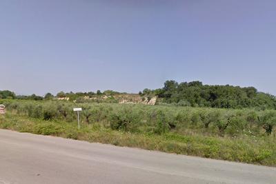 Agricoli in vendita