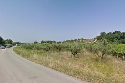Agricoli in vendita