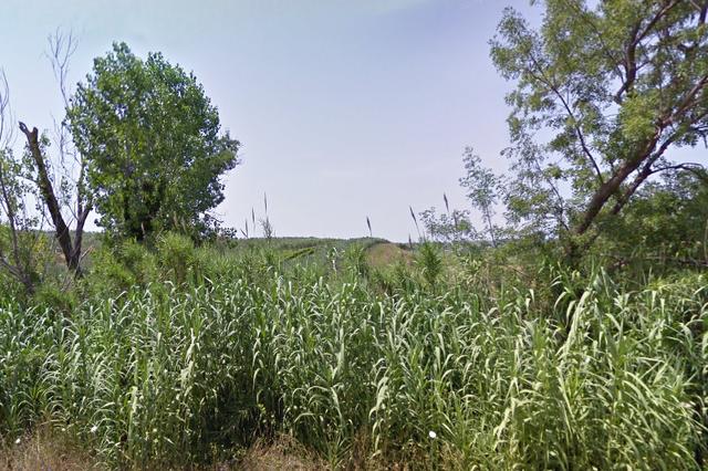 #4752 Terreno agricolo di 5.000 mq in vendita - foto 2