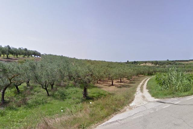 #4752 Terreno agricolo di 5.000 mq in vendita - foto 3