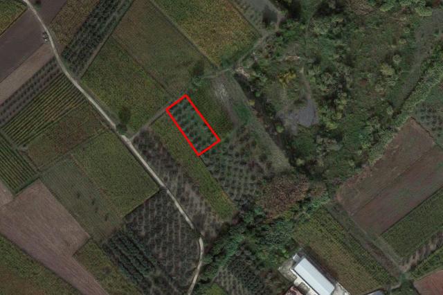 #4754 Terreno agricolo di 2.010 mq in vendita - foto 2