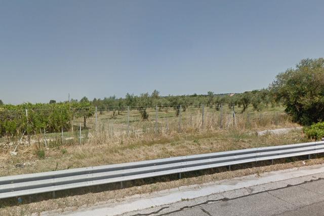 #4755 Terreno agricolo di 17.520 mq in vendita - foto 2