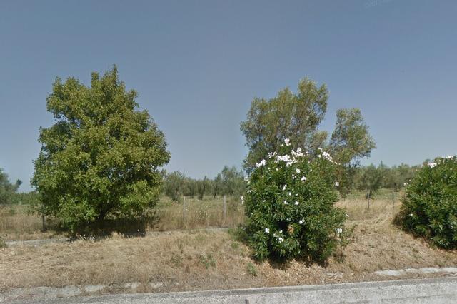 #4755 Terreno agricolo di 17.520 mq in vendita - foto 3