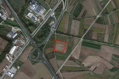 Agricoli in vendita