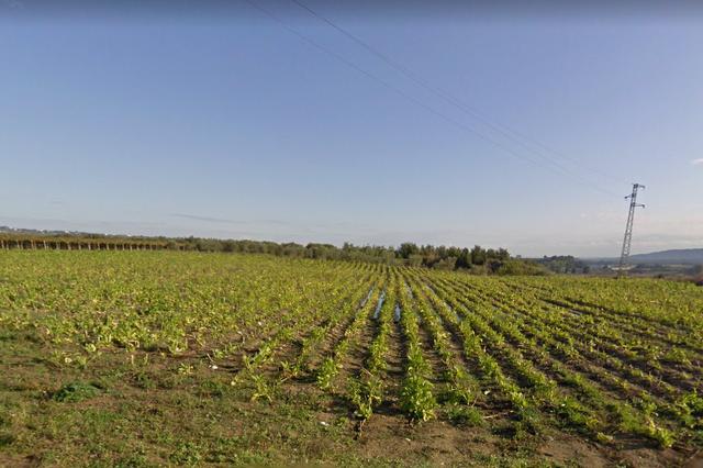 #4765 Terreno agricolo di 3.630 mq in vendita - foto 4