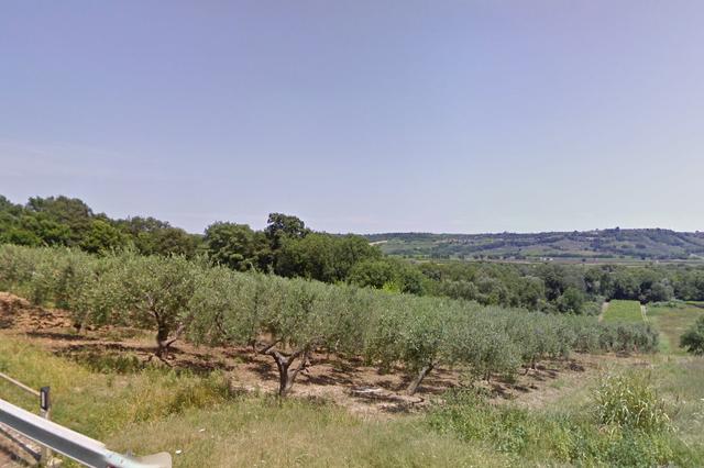 #4771 Terreno agricolo di 38.350 mq in vendita - foto 3