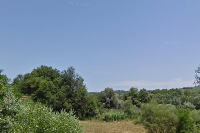 #4773 Terreno agricolo a bosco di 58.280 mq in vendita - foto 3