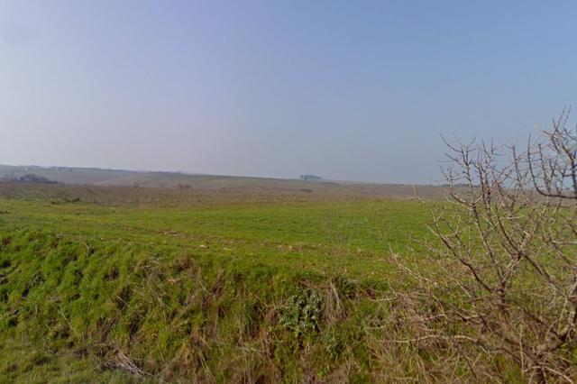 #4785 Terreno agricolo di 290.000 mq in vendita - foto 2