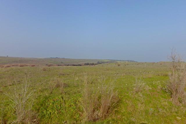 #4785 Terreno agricolo di 290.000 mq in vendita - foto 4