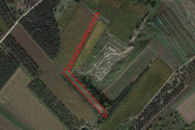 #4787 Terreno agricolo di 2.480 mq in vendita - foto 2
