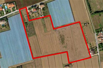 Agricoli in vendita