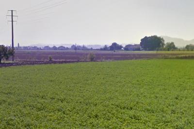 Agricoli in vendita