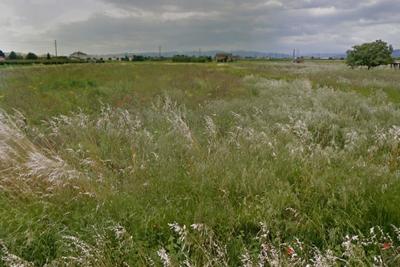 Agricoli in vendita