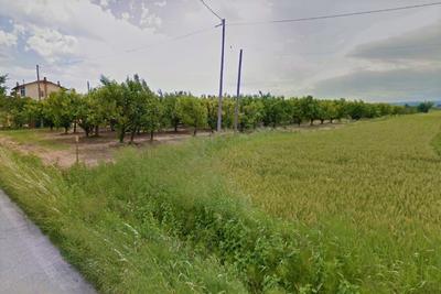 Agricoli in vendita
