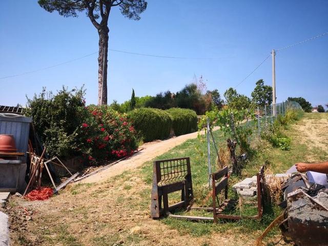 #6442 Terreno edificabile di 19.033 mq in vendita - foto 8