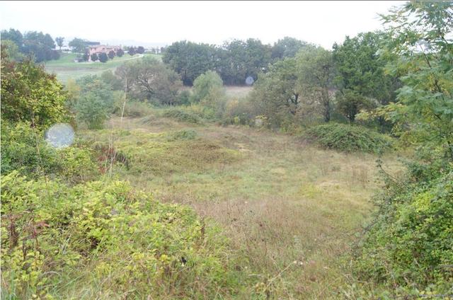 #6936 Terreni agricoli per 48.660 mq in vendita - foto 2