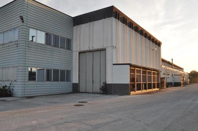 #7267 Stabilimento industriale con uffici e casa custode in vendita - foto 9