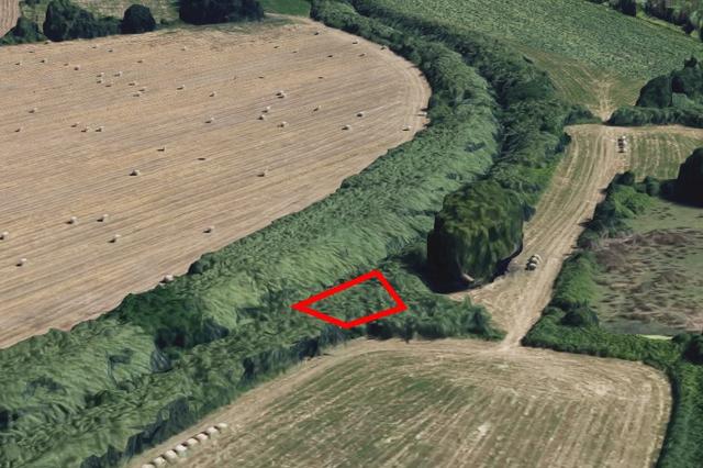 #8012 Appezzamento agricolo di 145 mq in vendita - foto 2