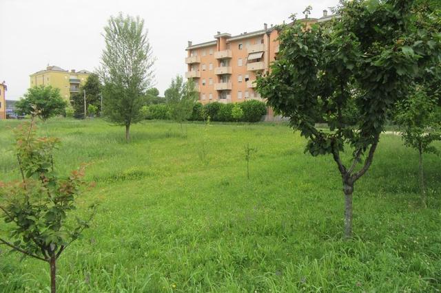 #8203 Area bianca in centro (ex lotto edificabile) in vendita - foto 6