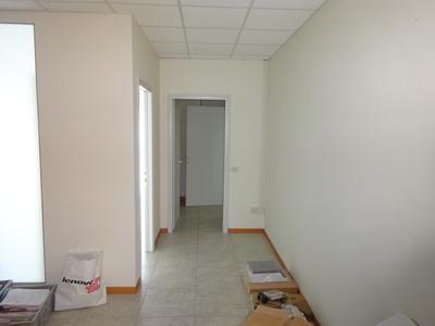 Grandi dimensioni in vendita