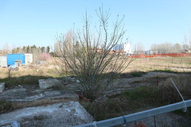#9155 Terreni edificabili residenziali - Via Fenoglio in vendita - foto 3