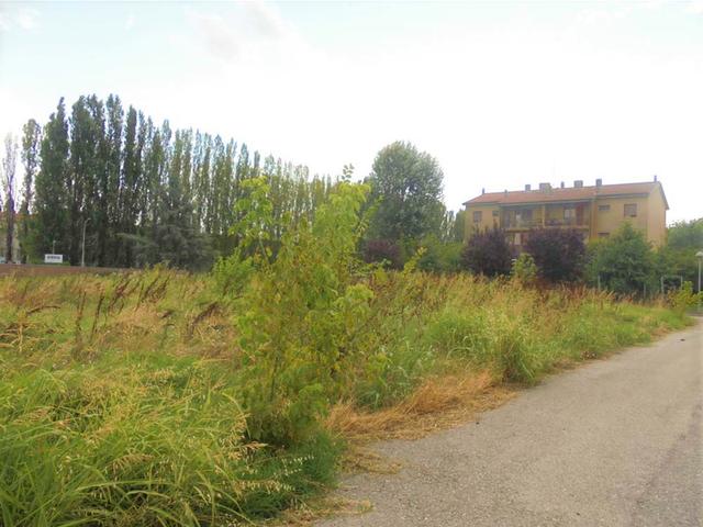 #9172 Terreni edificabili residenziali di 4.533 mq - Via Fava in vendita - foto 2