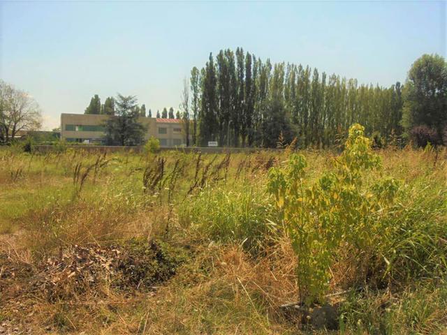 #9172 Terreni edificabili residenziali di 4.533 mq - Via Fava in vendita - foto 3