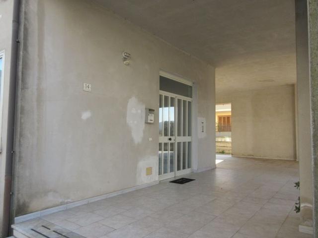 photogallery 8