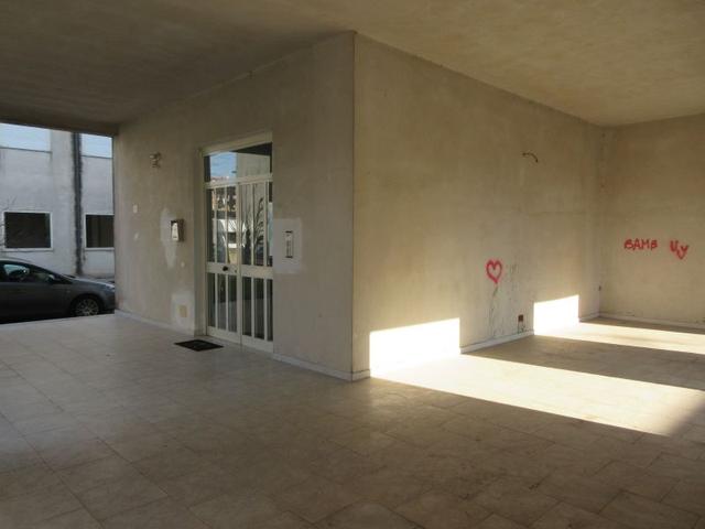photogallery 9