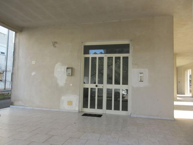 photogallery 10