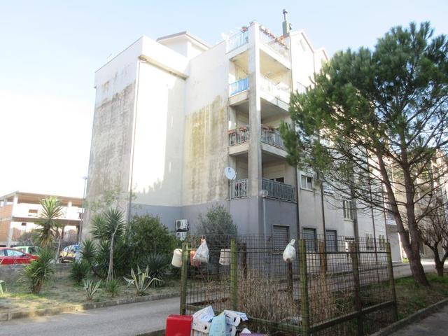 photogallery 7