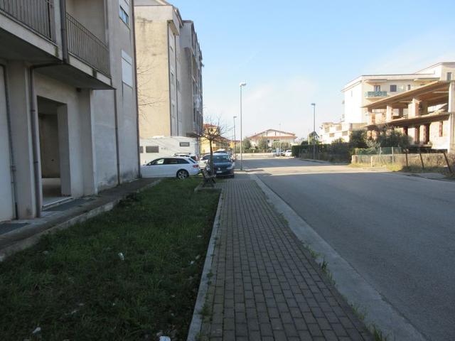 photogallery 8