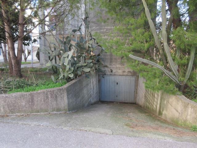 photogallery 6