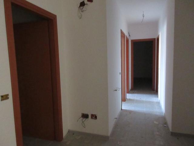 photogallery 11