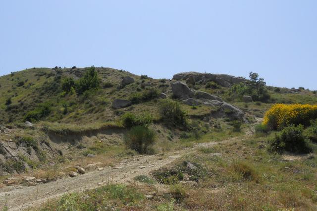 Agricoli in vendita