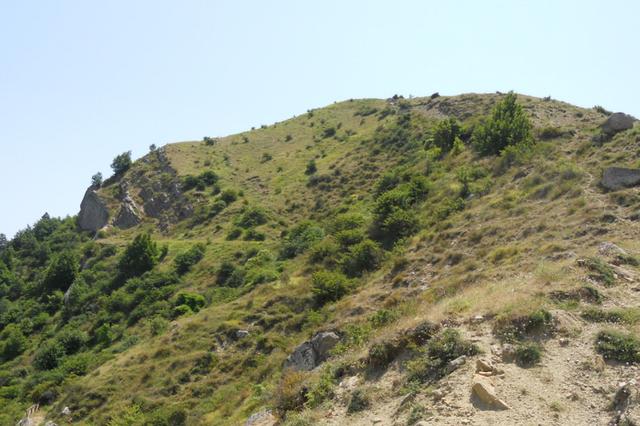 Agricoli in vendita