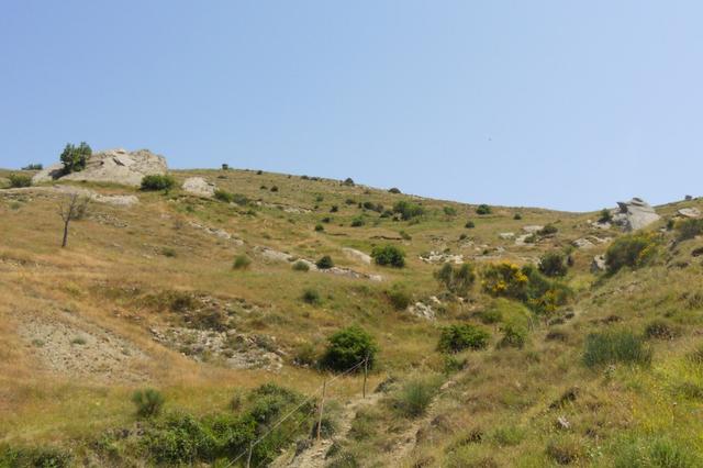 Agricoli in vendita