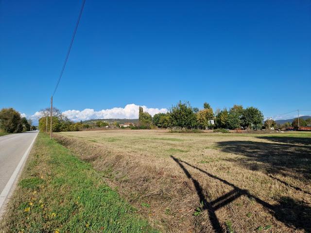#9558 Terreno agricolo  7626mq in vendita - foto 2