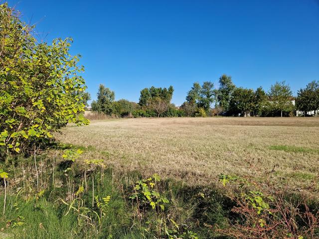 #9558 Terreno agricolo  7626mq in vendita - foto 3