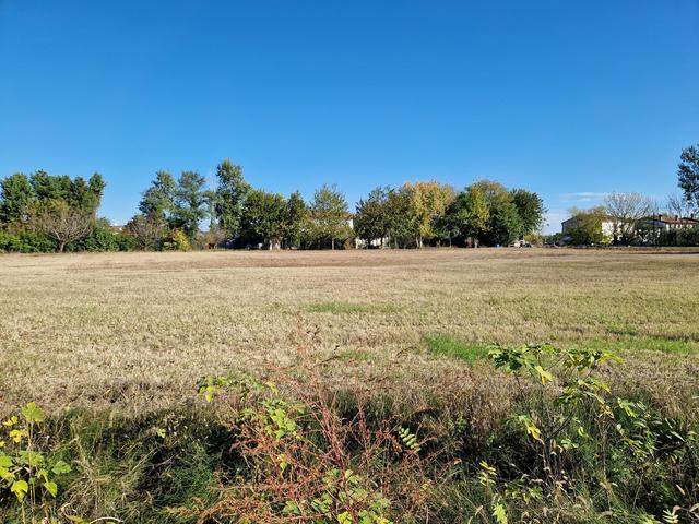 #9558 Terreno agricolo  7626mq in vendita - foto 4