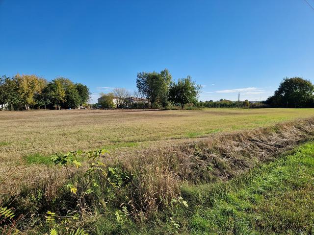 #9558 Terreno agricolo  7626mq in vendita - foto 5