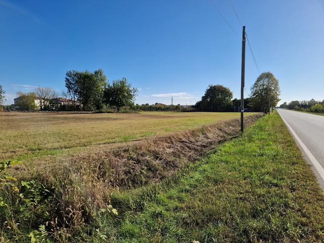 #9558 Terreno agricolo  7626mq in vendita - foto 6