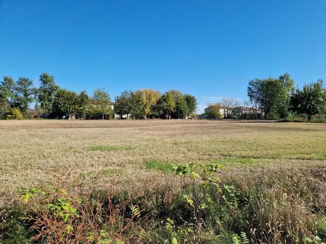 #9558 Terreno agricolo  7626mq in vendita - foto 7