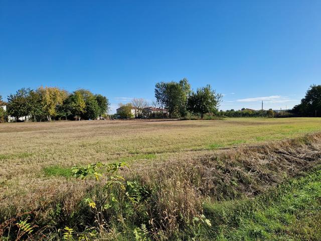#9558 Terreno agricolo  7626mq in vendita - foto 8