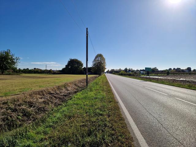 #9558 Terreno agricolo  7626mq in vendita - foto 10