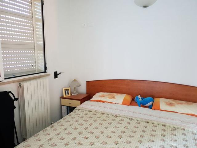 photogallery 5